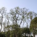IMG_761742