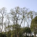 IMG_761743