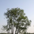 IMG_761744