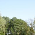 IMG_761770