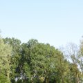 IMG_761771