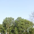 IMG_761772