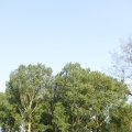 IMG_761773