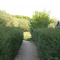 IMG_761776