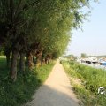 IMG_761779