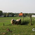 IMG_761785