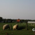 IMG_761786