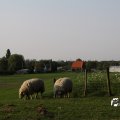 IMG_761787