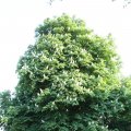 IMG_761790