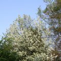 IMG_761791