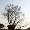 IMG_761802