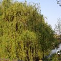 IMG_761813
