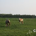 IMG_761816