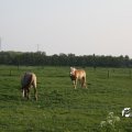 IMG_761817