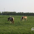 IMG_761818