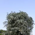 IMG_761819