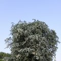 IMG_761821