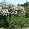 IMG_761822