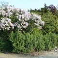 IMG_761823