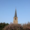 IMG_761828