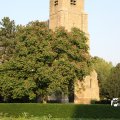 IMG_761831