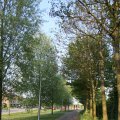 IMG_761833