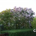 IMG_761839