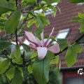 IMG_761840