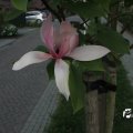 IMG_761843