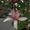 IMG_761844