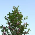 IMG_761846