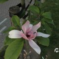 IMG_761847