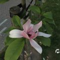 IMG_761848