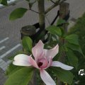 IMG_761849