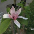 IMG_761850