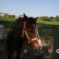 IMG_761857