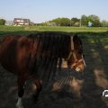 IMG_761858