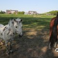 IMG_761859