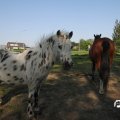IMG_761860