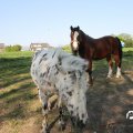 IMG_761861