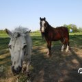 IMG_761863