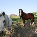 IMG_761864