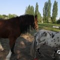 IMG_761868