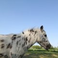 IMG_761881
