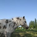 IMG_761882