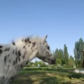 IMG_761883