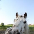IMG_761884
