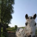 IMG_761889