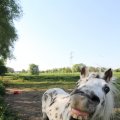 IMG_761891