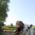 IMG_761892